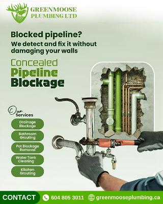 Plumbing Repair in Surrey: Quick Drainage and Clogged Drain Solutions
